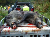 /album/fotogaleria/dsc00001-copia-jpg/